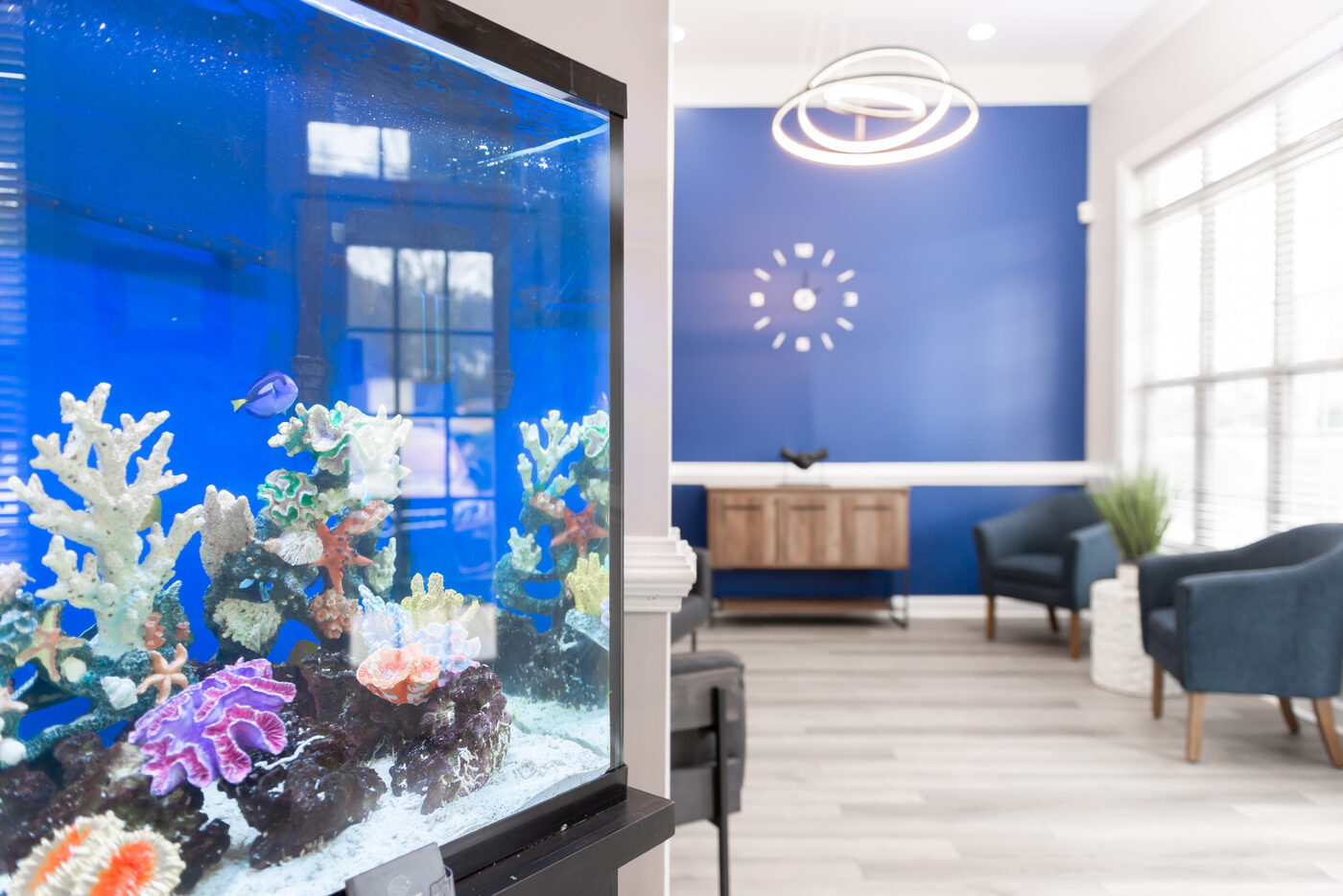 Close-up of colorful saltwater reef aquarium in THRIVE clinic lobby